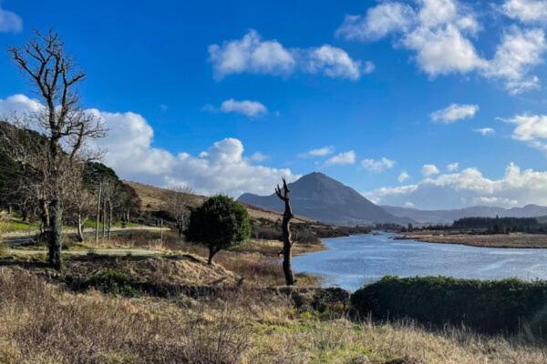Appartamento Donegal Luxury Pods Gaoth Dobhair Esterno foto